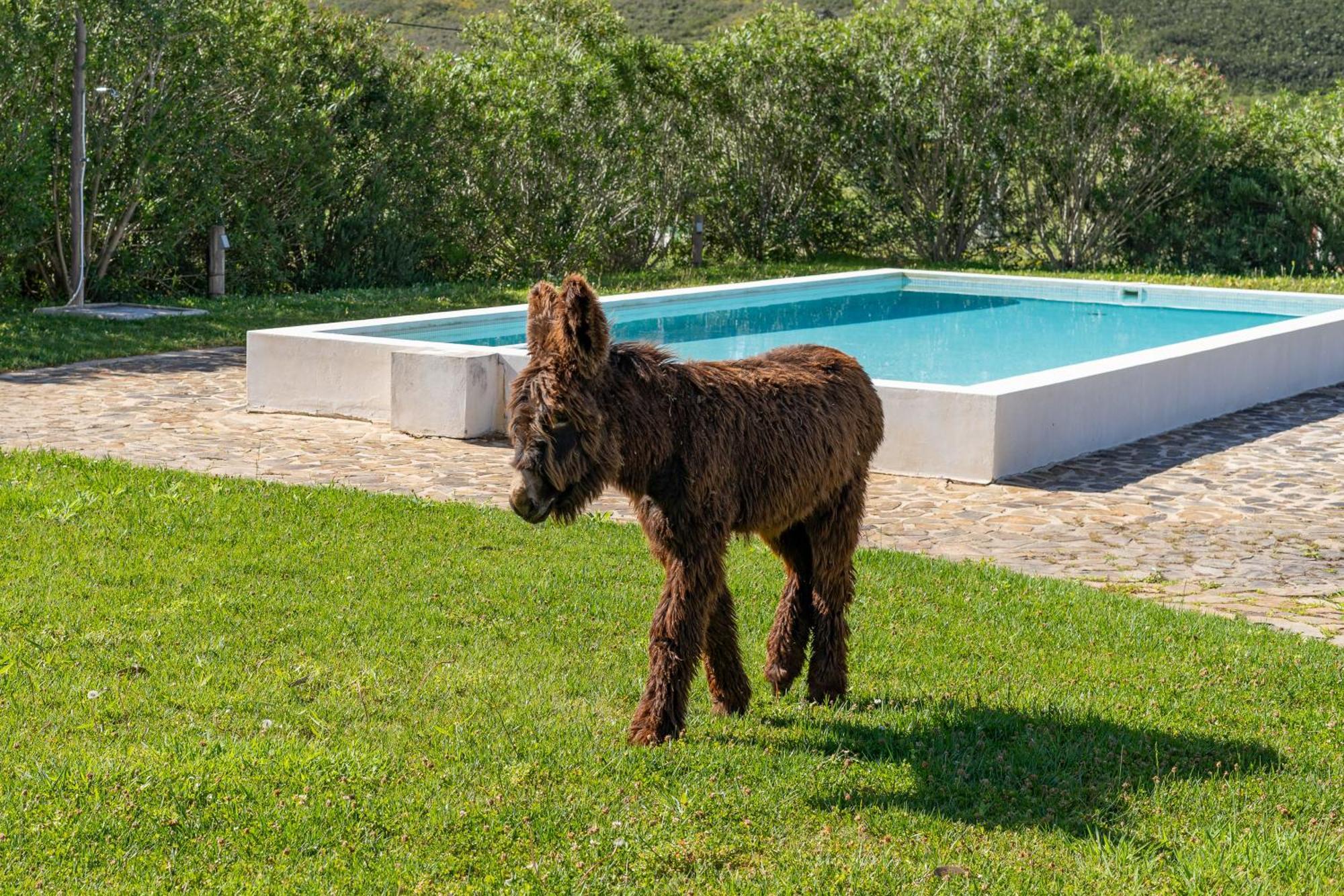Burro Ville By Host Wise Portimão Exterior foto